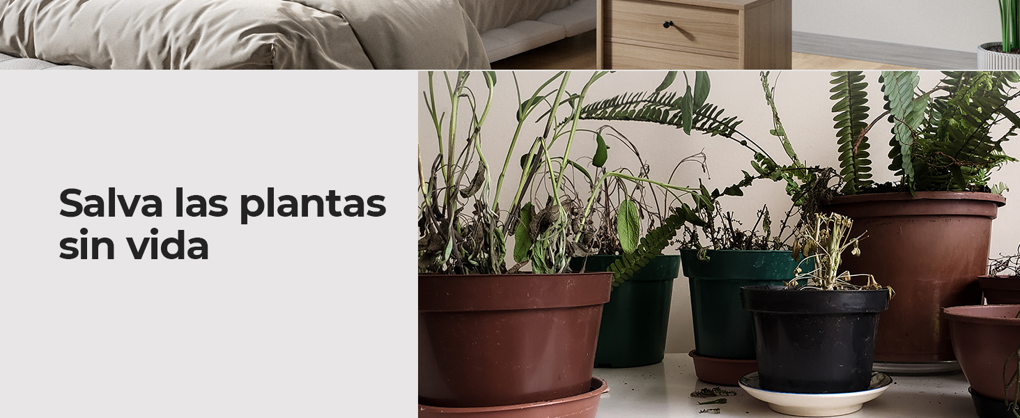 Humidificador plantas