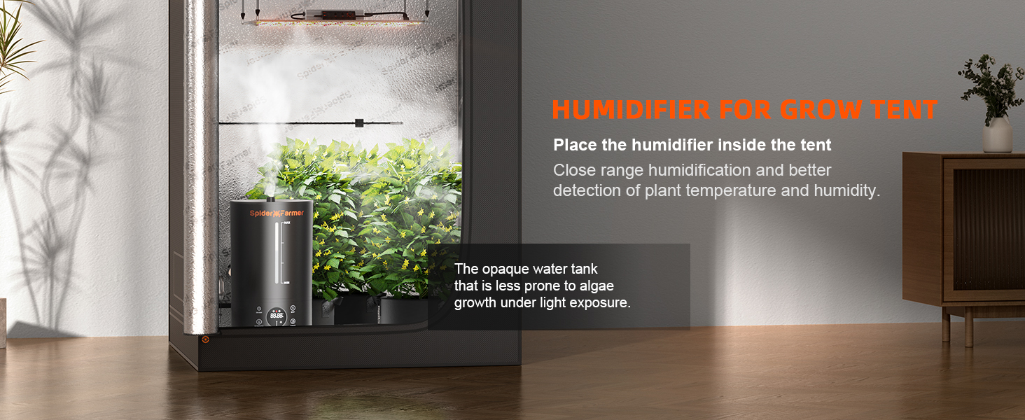 Humidifier