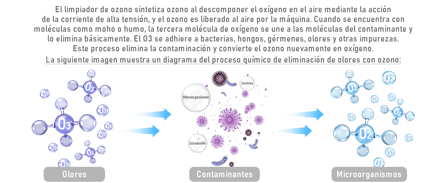 Desodorización Rápida