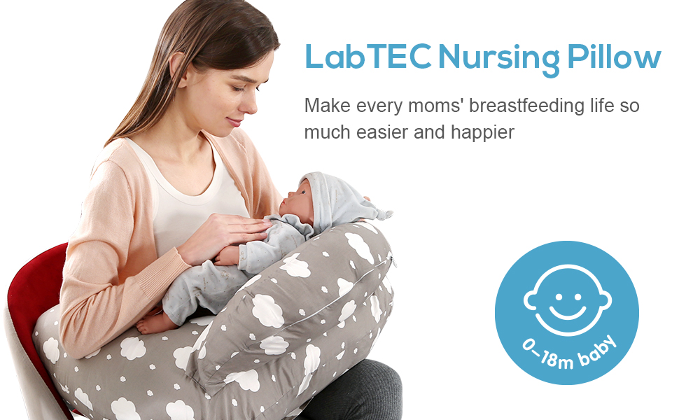 LabTEC Pregnancy Pillows 