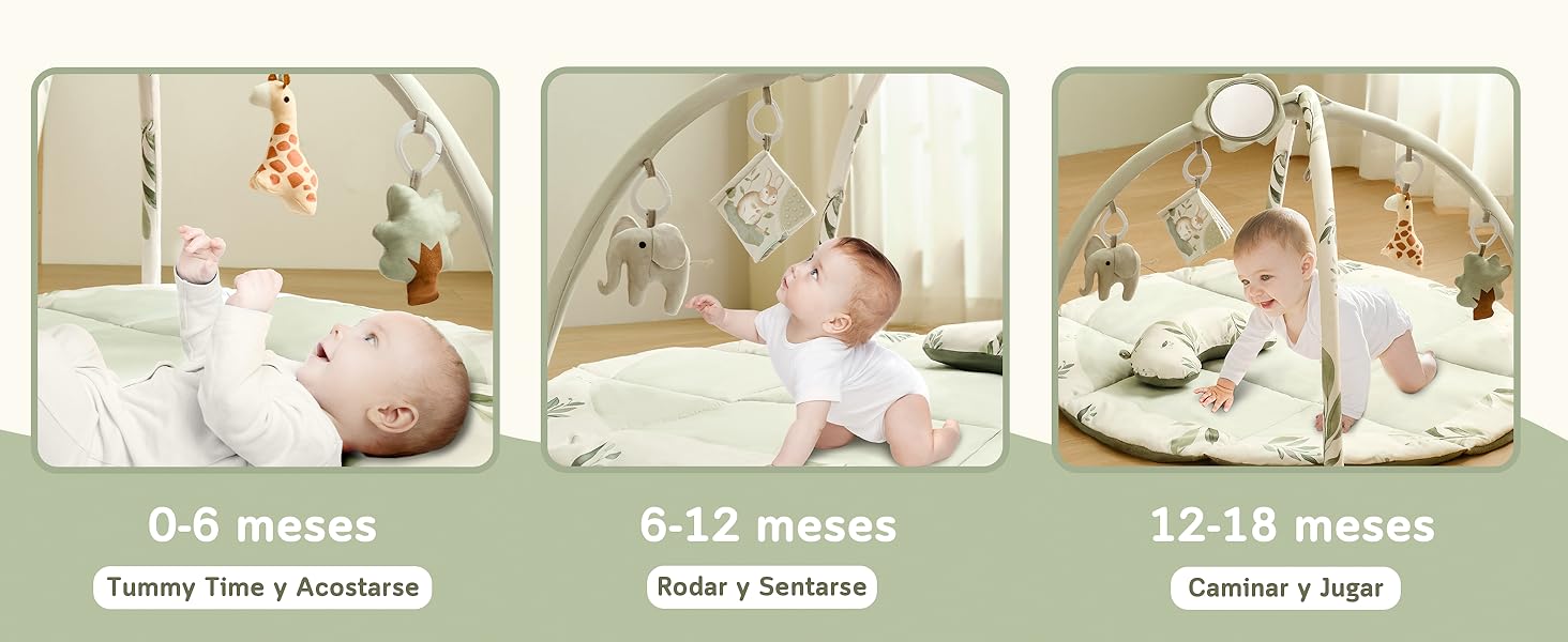 0-6 meses Tummy Time y Acostarse 6-12 meses Rodar y Sentarse 12-18 meses Caminar y Jugar