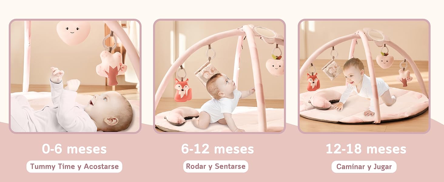 0-6 meses Tummy Time y Acostarse 6-12 meses Rodar y Sentarse 12-18 meses Caminar y Jugar