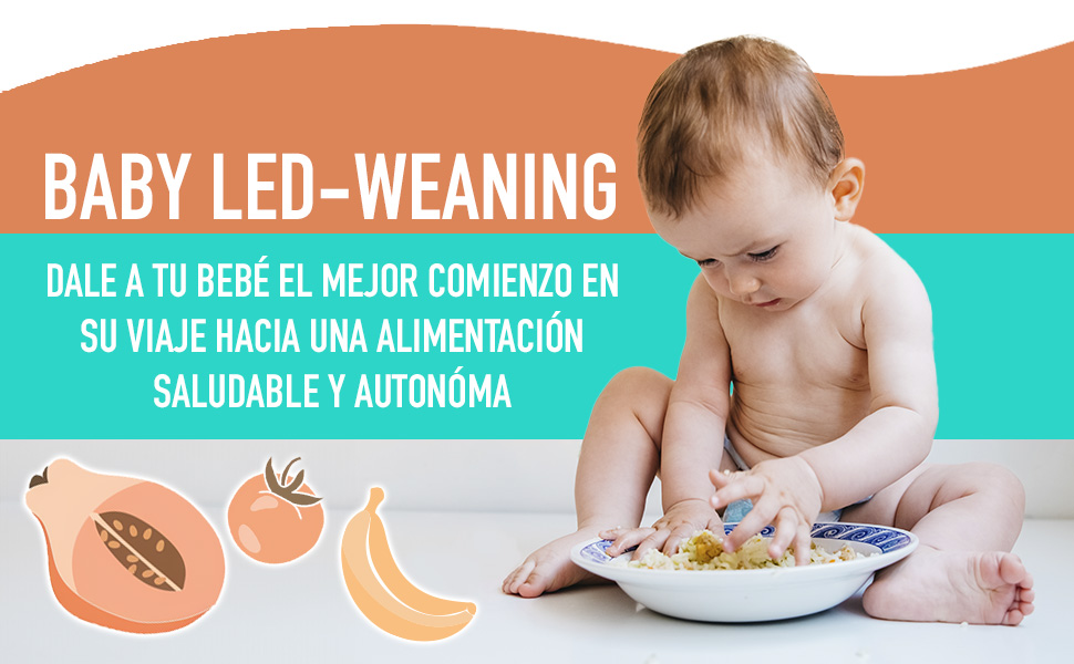 baby led weaning food