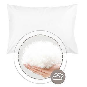 Toddler Pillow and Pillowcase 