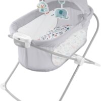 Fisher-Price Moisés Plegable, Cuna para bebés (Mattel GWD36)