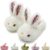 sharllen niños Pantuflas Niñas Fluffy Bunny Pantuflas Toddler Peluche Caliente Invierno Casa Zapatos Niños Lindo Conejo Novedad Animal Pantuflas